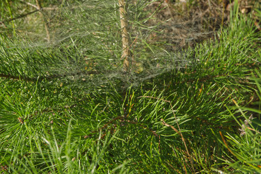 Similar image 22142483