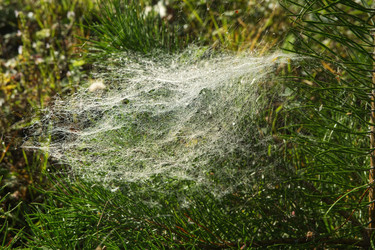 Similar image 22142484