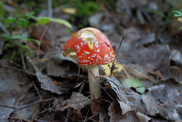 Similar image 22142485