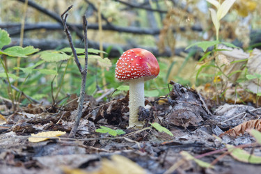 Similar image 22142486