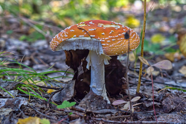 Similar image 22142487