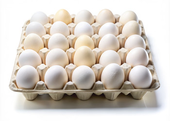 Similar image 22154440