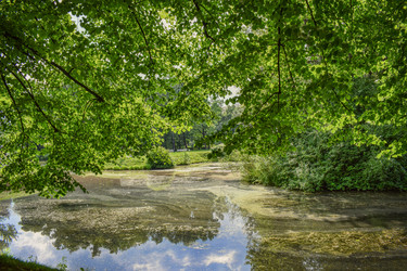 Similar image 22142489