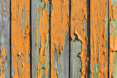 Similar image 22155087