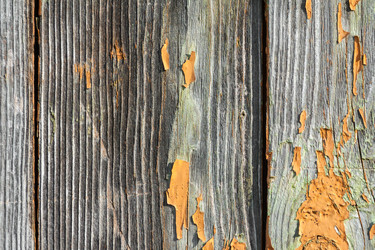 Similar image 22155089