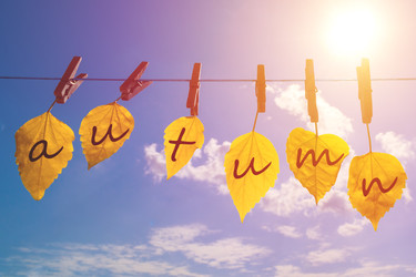 Similar image 22155106