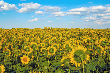 Similar image 22155275