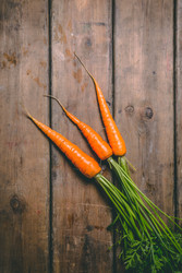 Similar image 22160808