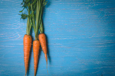 Similar image 22144064