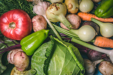 Similar image 22142499