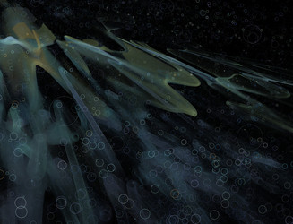 Similar image 22164529