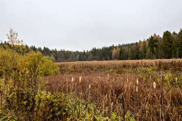 Similar image 22142340