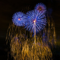 Similar image 22155113