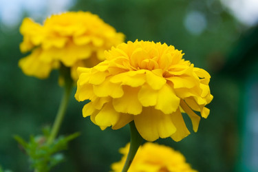 Similar image 22155129