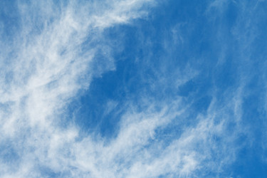 Similar image 22155295