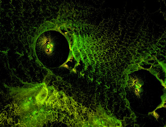 Similar image 22165019