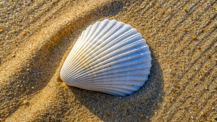 Similar image 22154259