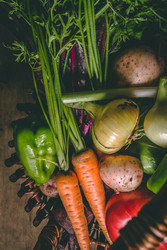 Similar image 22160625