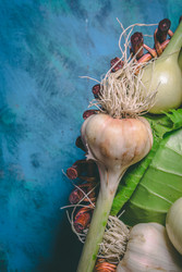 Similar image 22160644