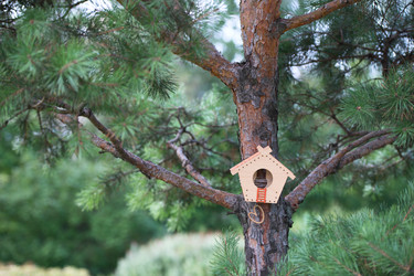 Similar image 22142581