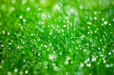 Similar image 22142353