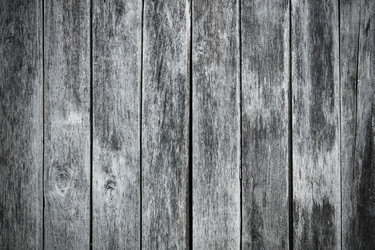 Similar image 22148534