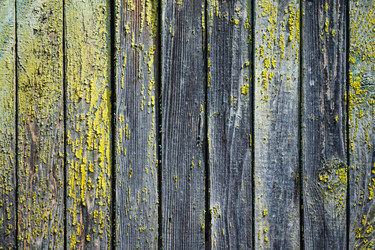 Similar image 22148536