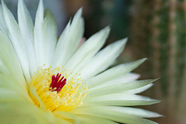 Similar image 22148542