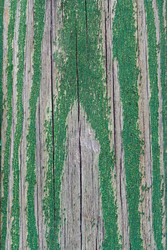 Similar image 22148548