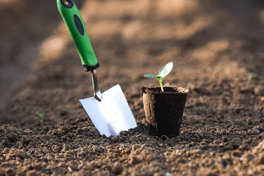 Similar image 22142608