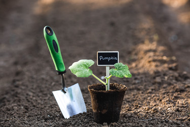 Similar image 22142610