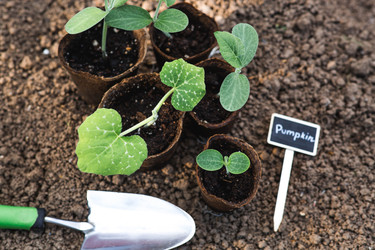 Similar image 22142614