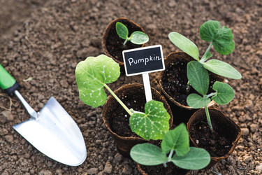 Similar image 22142616