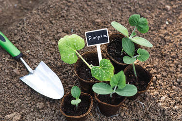 Similar image 22142618