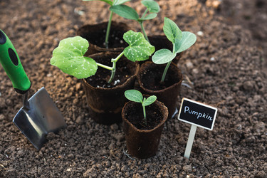 Similar image 22142622