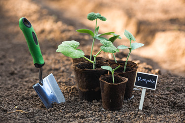 Similar image 22142624