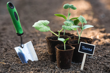 Similar image 22142626