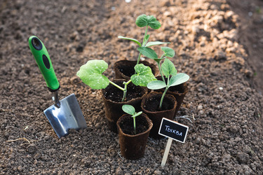 Similar image 22142628