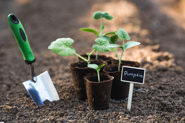 Similar image 22142630