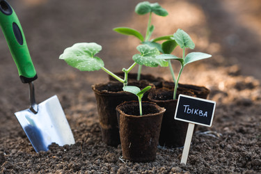 Similar image 22142632