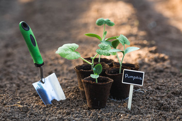 Similar image 22142634