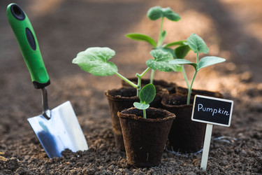 Similar image 22142636