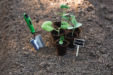 Similar image 22142638