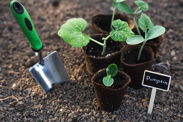 Similar image 22142640