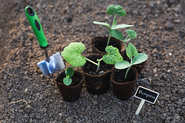 Similar image 22142646