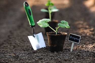 Similar image 22142651