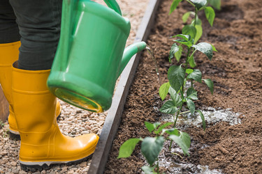 Similar image 22142653