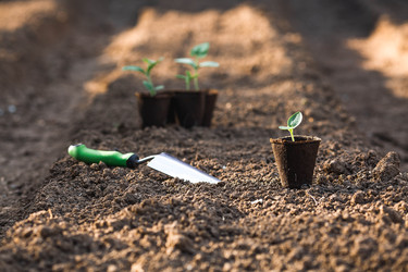 Similar image 22142707