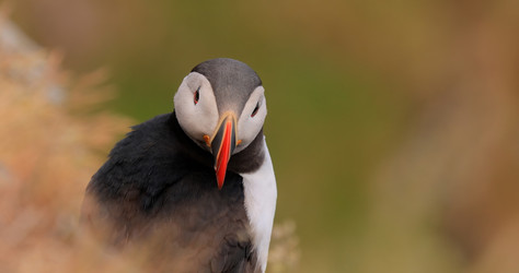 Similar image 22142505