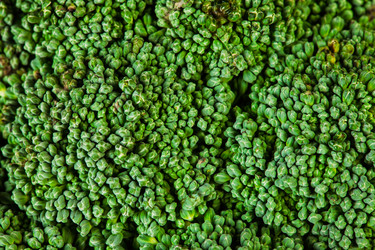 Similar image 22142506